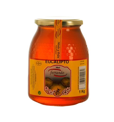 Miel De Eucalipto 1kg Removebg Preview